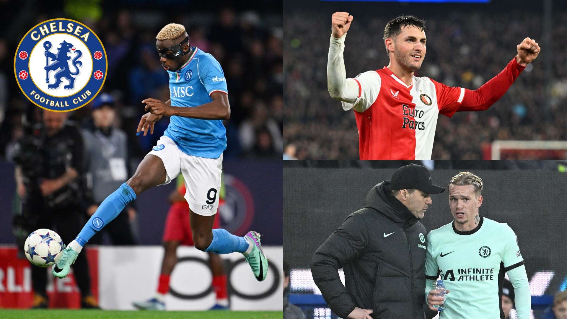 手的能力 手的能力