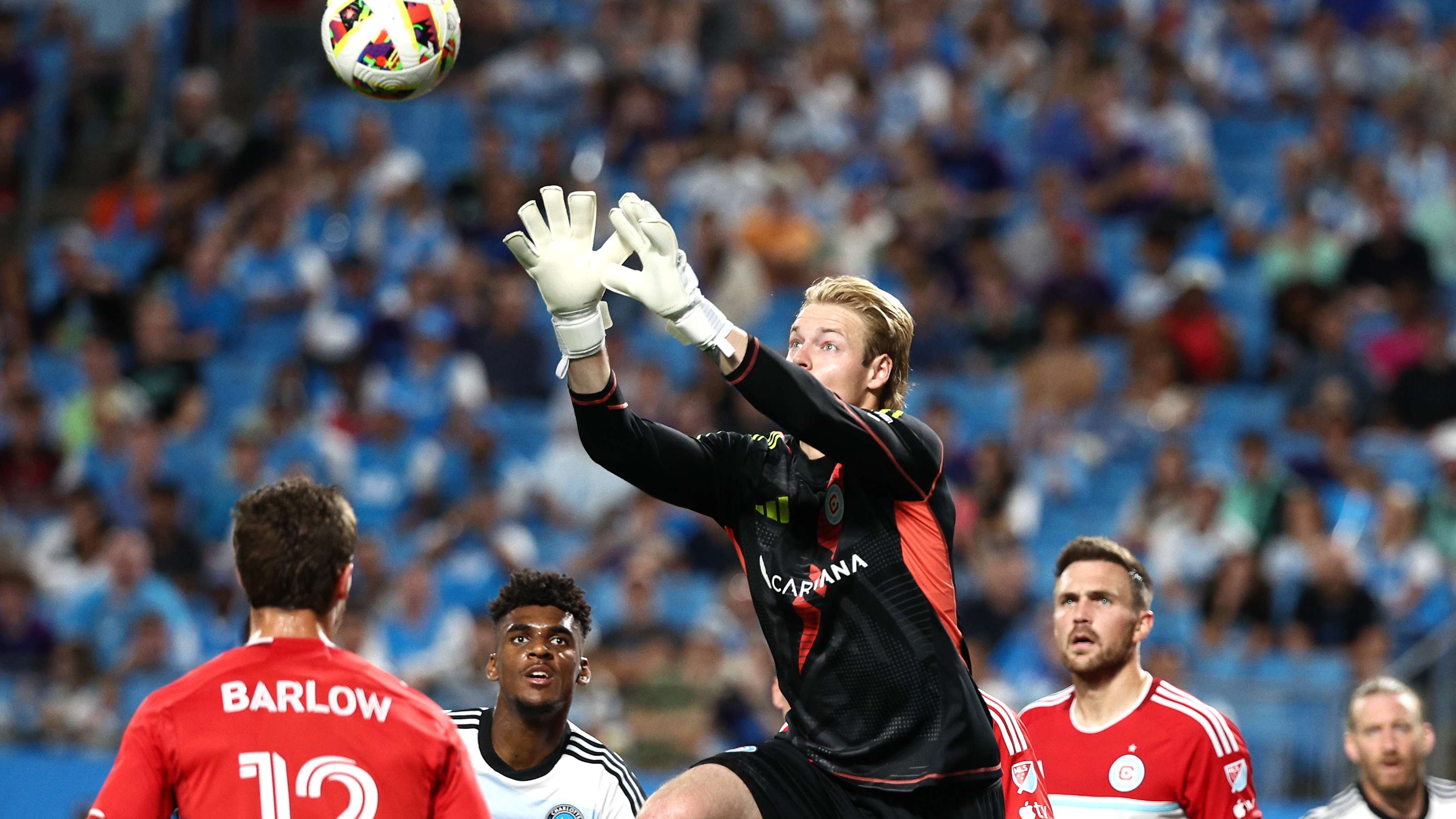 葉路線的理 葉路線的理