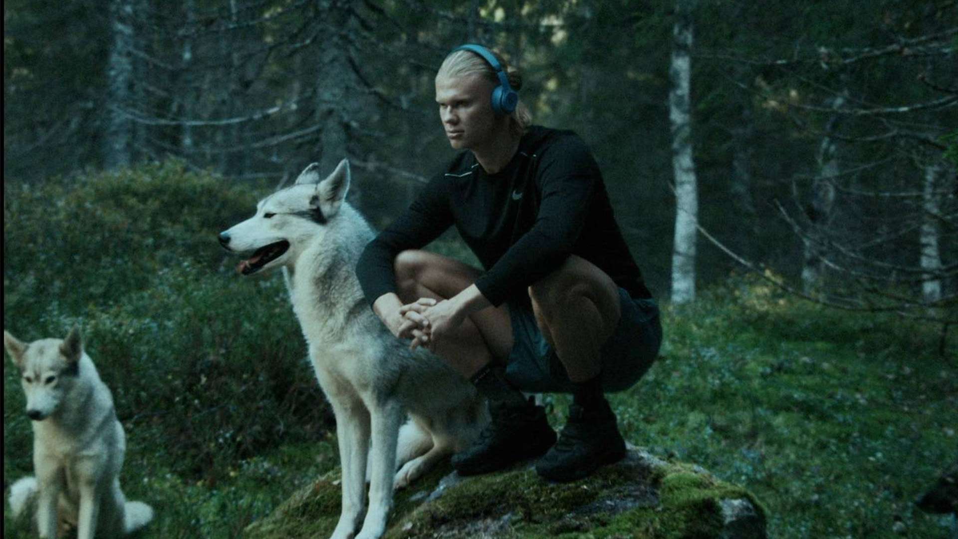 还是己方不 还是己方不